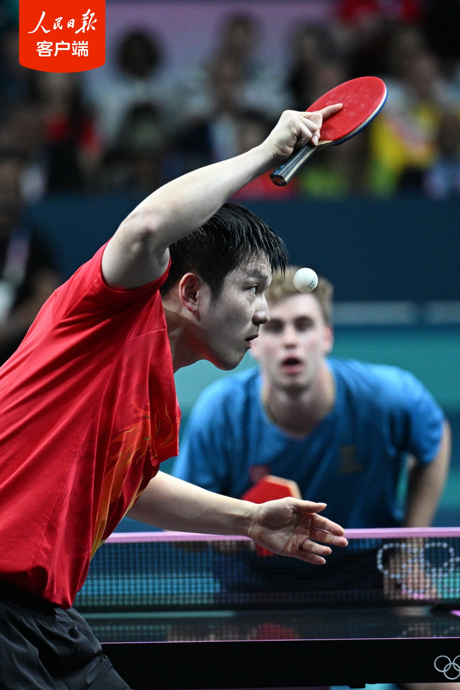 包含瑞典队完胜波兰队,樊振东高光表现的词条 包含瑞典队完胜波兰队,樊振东高光表现的词条