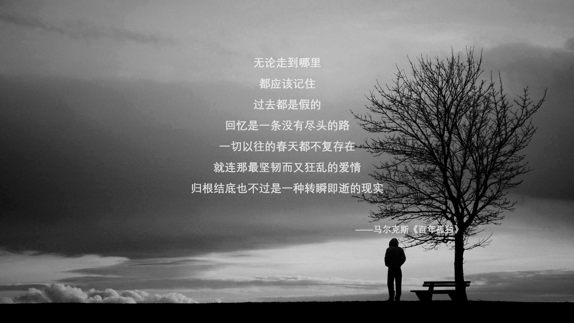 德国队完胜马来西亚队,石宇奇高光表现,羽毛球赛场上的双重奏