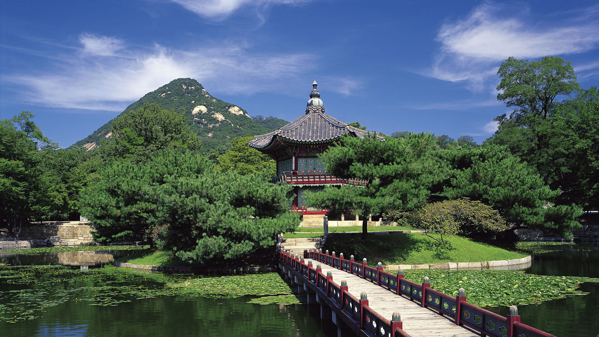 跨越太平洋的制胜一击，易建联如何用一记绝杀唤醒中国篮球的星辰