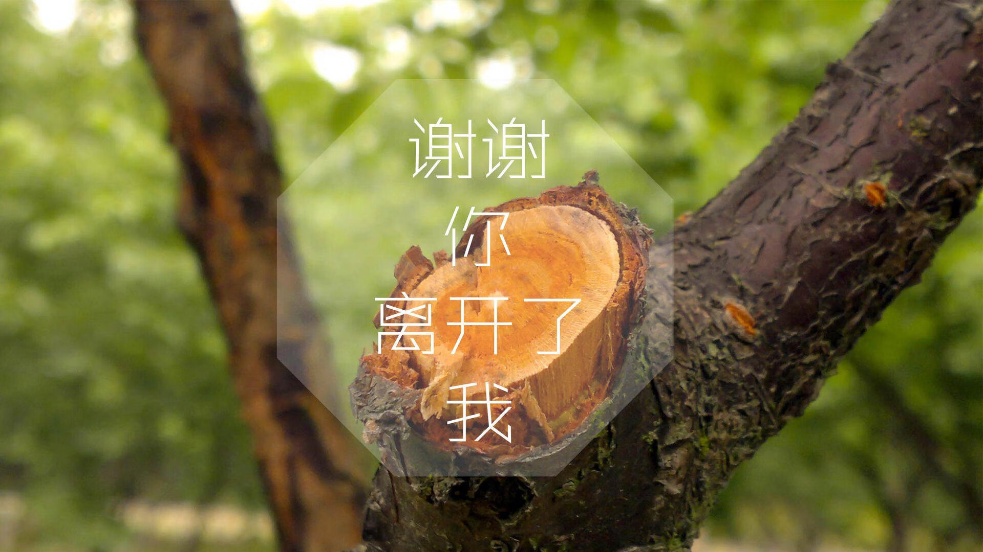绝境救主！克瓦拉茨赫利亚奏响制胜音符，勒沃库森生死战击退爱尔兰