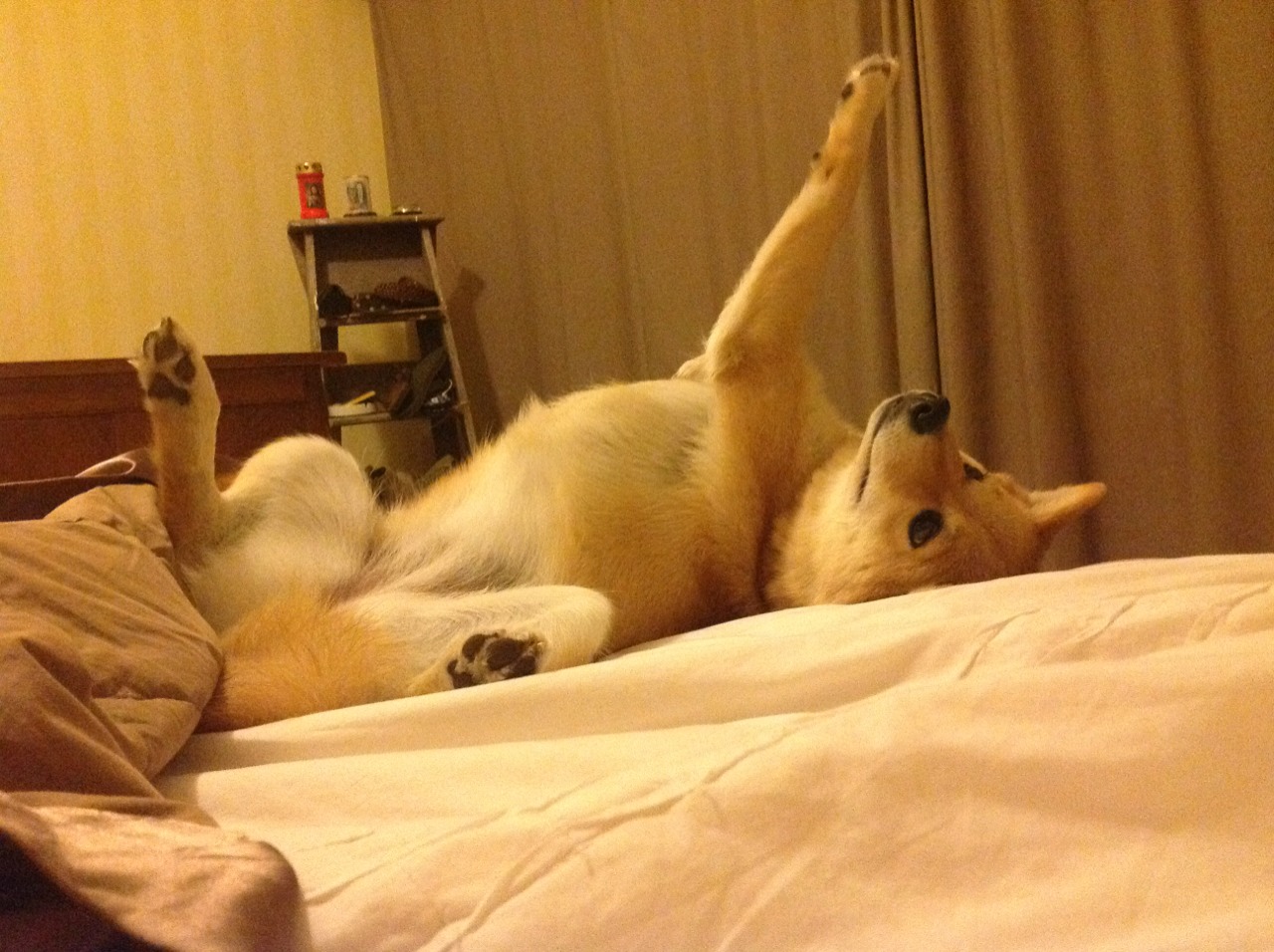 戈麦斯的魔法时刻，法国对阵尤文的胜负转折点