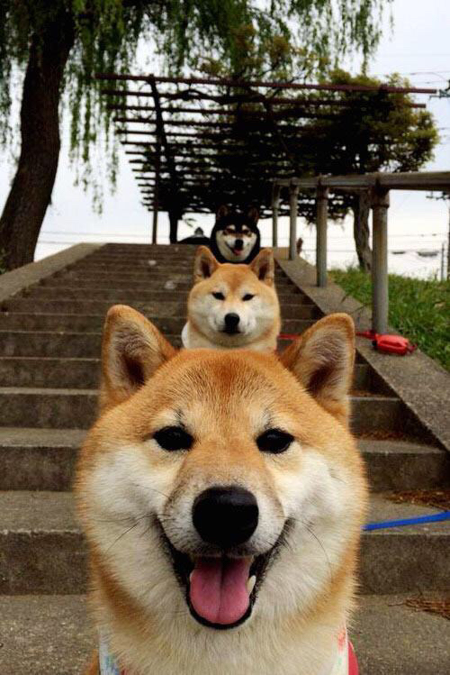 神像苏醒,在破碎的倒影中,东契奇完成自我救赎