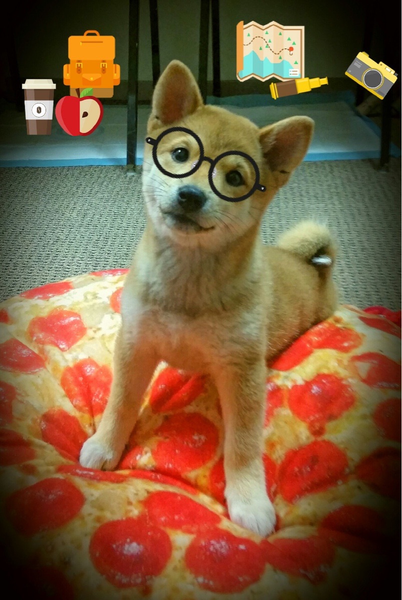 双重战场，NBA季后赛的炽热对垒与澳大利亚对墨西哥的压制之道