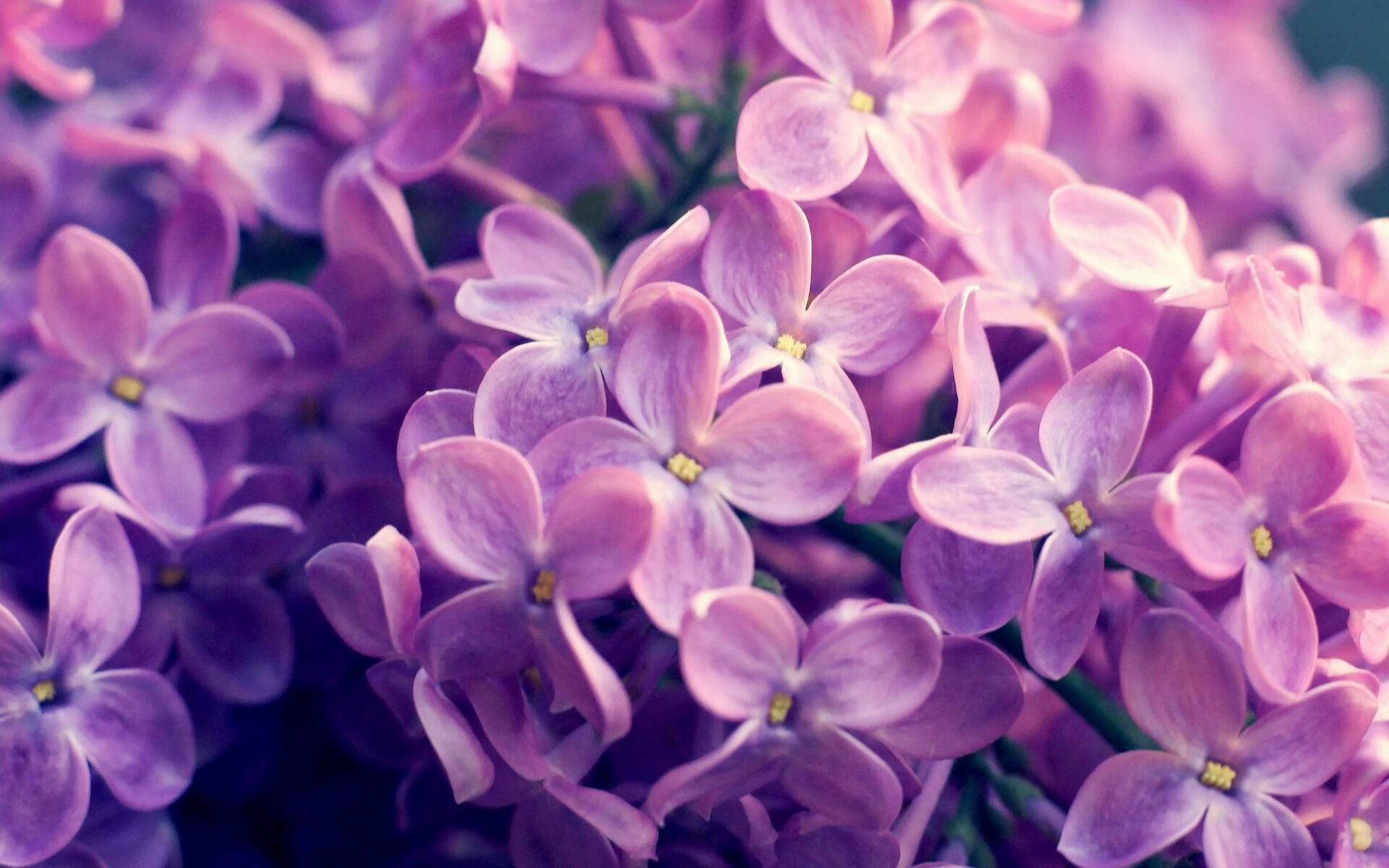 世纪冷门,摩纳哥的狂欢之夜与佩德里如何让德意志战车失魂落魄