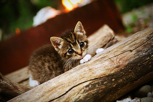 风暴眼的沉默,卡塞米罗末节怒吼,定义唯一性的决战