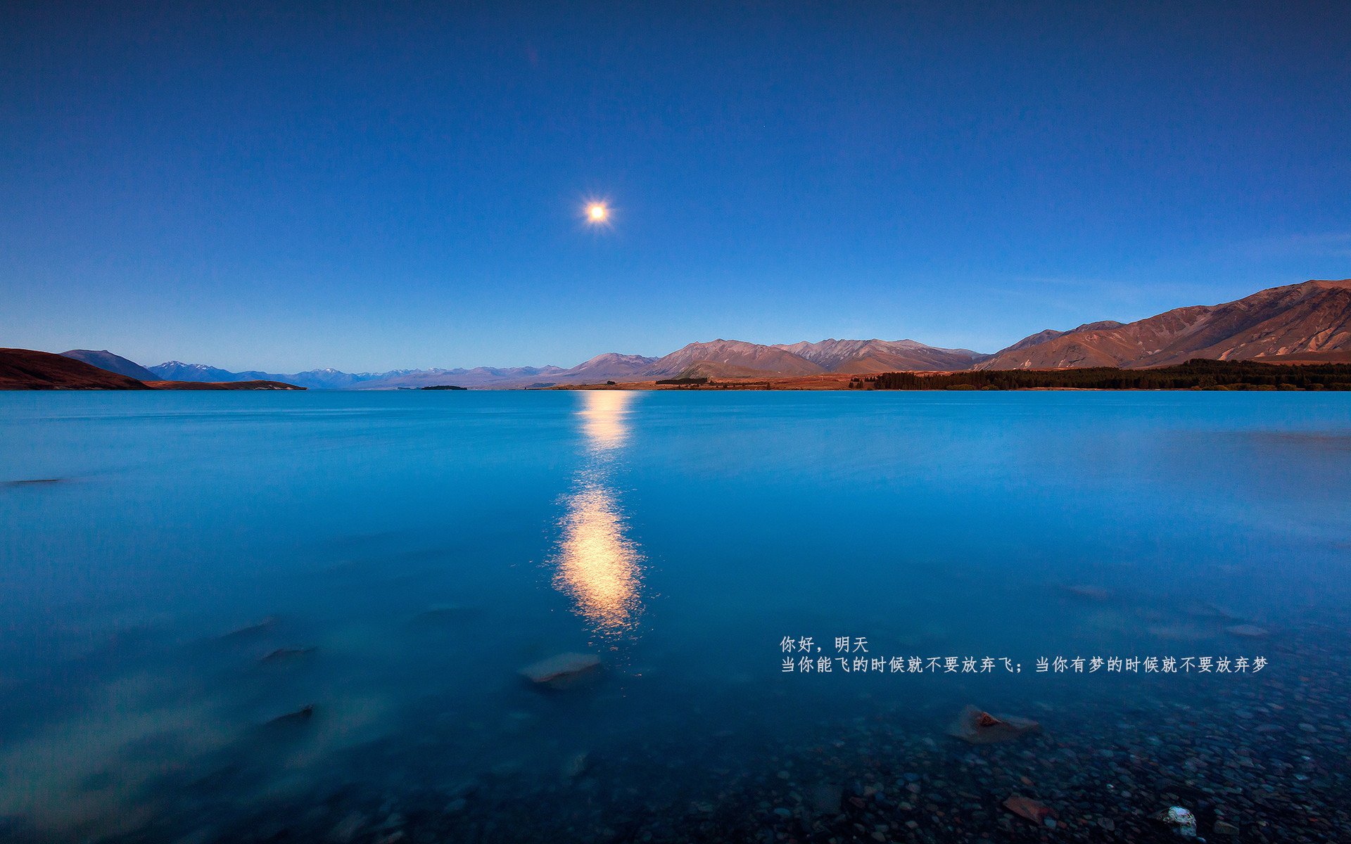 评分拉满的贝恩,与一场他不存在的比赛