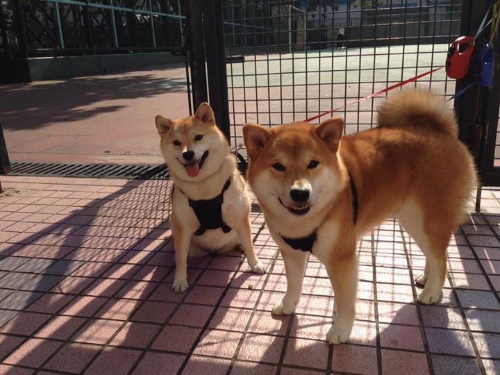 扩展思维，文章标题