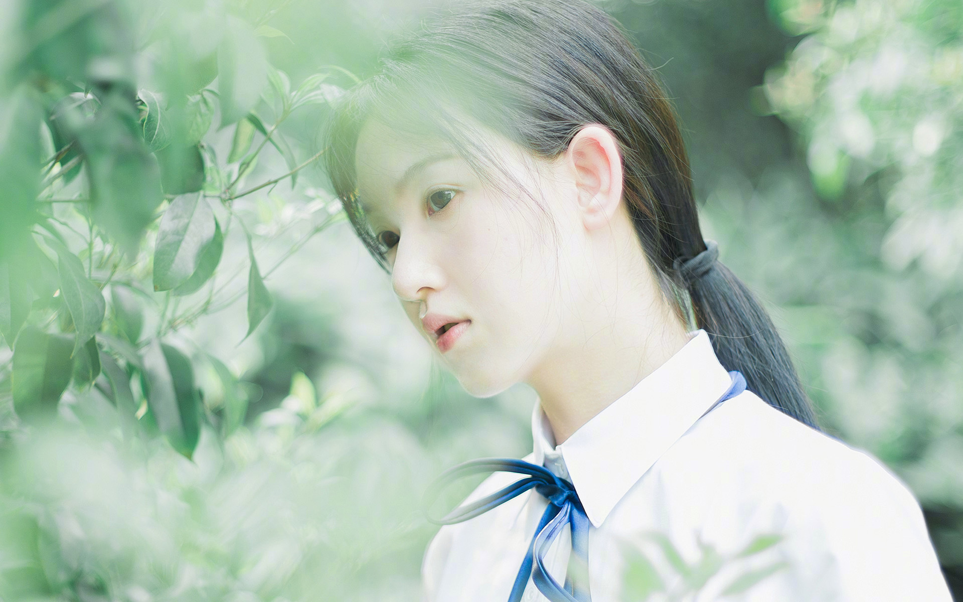 改写历史的沙漠之狐，阿尔及利亚如何在世界杯焦点战正面击溃法兰西