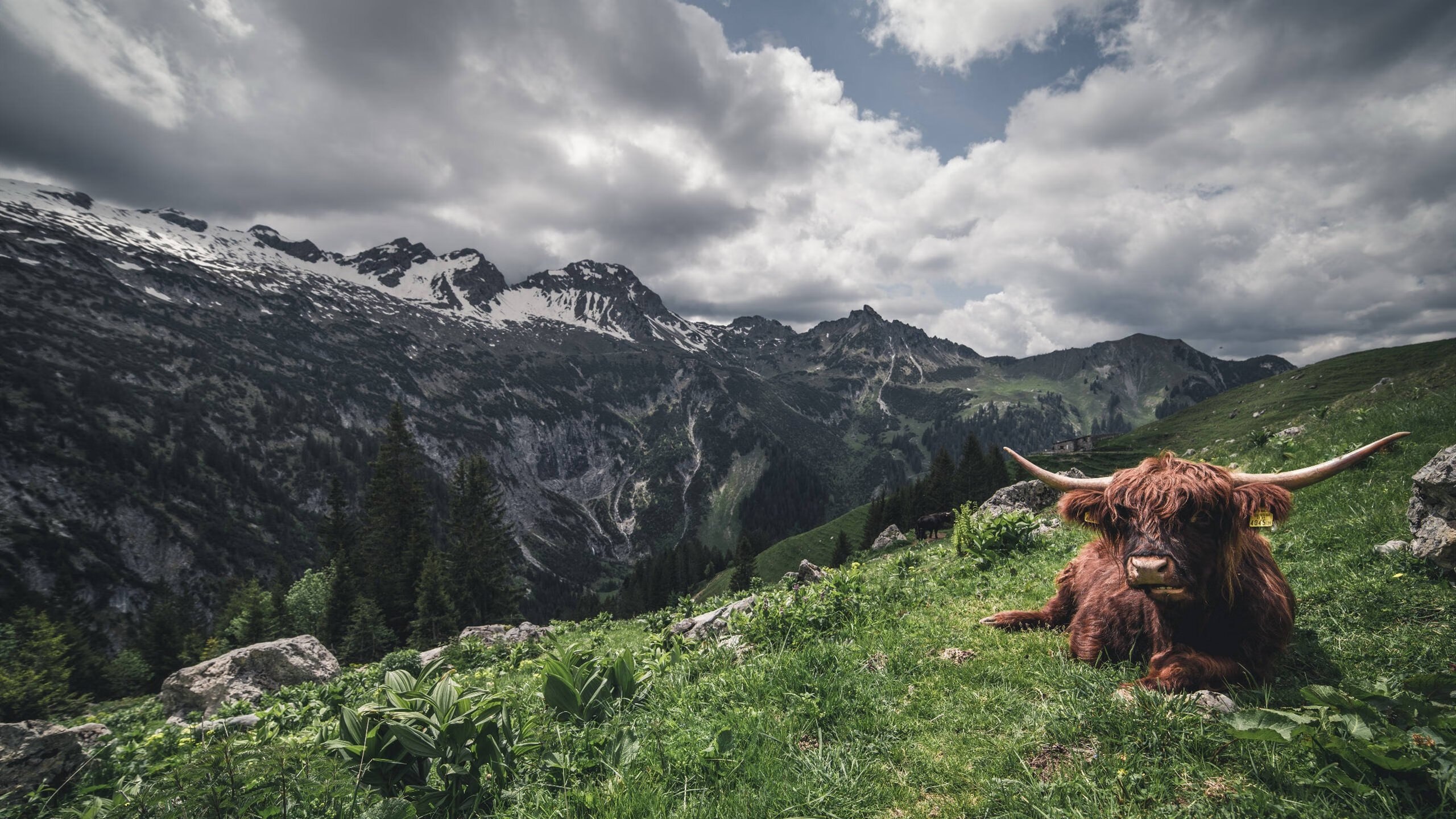 英伦铁骑碾过巴斯克山城,一场被重新定义的西决生死战