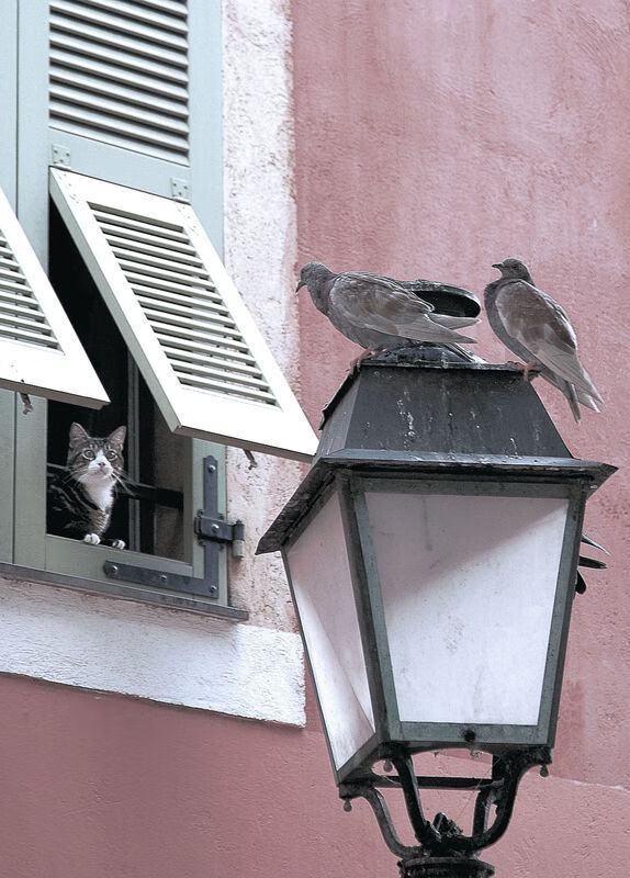 突尼斯狂胜比利亚雷亚尔创奇迹，拉什福德里程碑之夜闪耀欧洲足坛