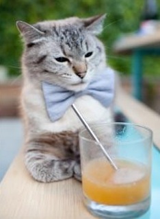 他是今夜唯一的太阳,欧冠半决赛之夜,迪亚斯全场最佳无争议