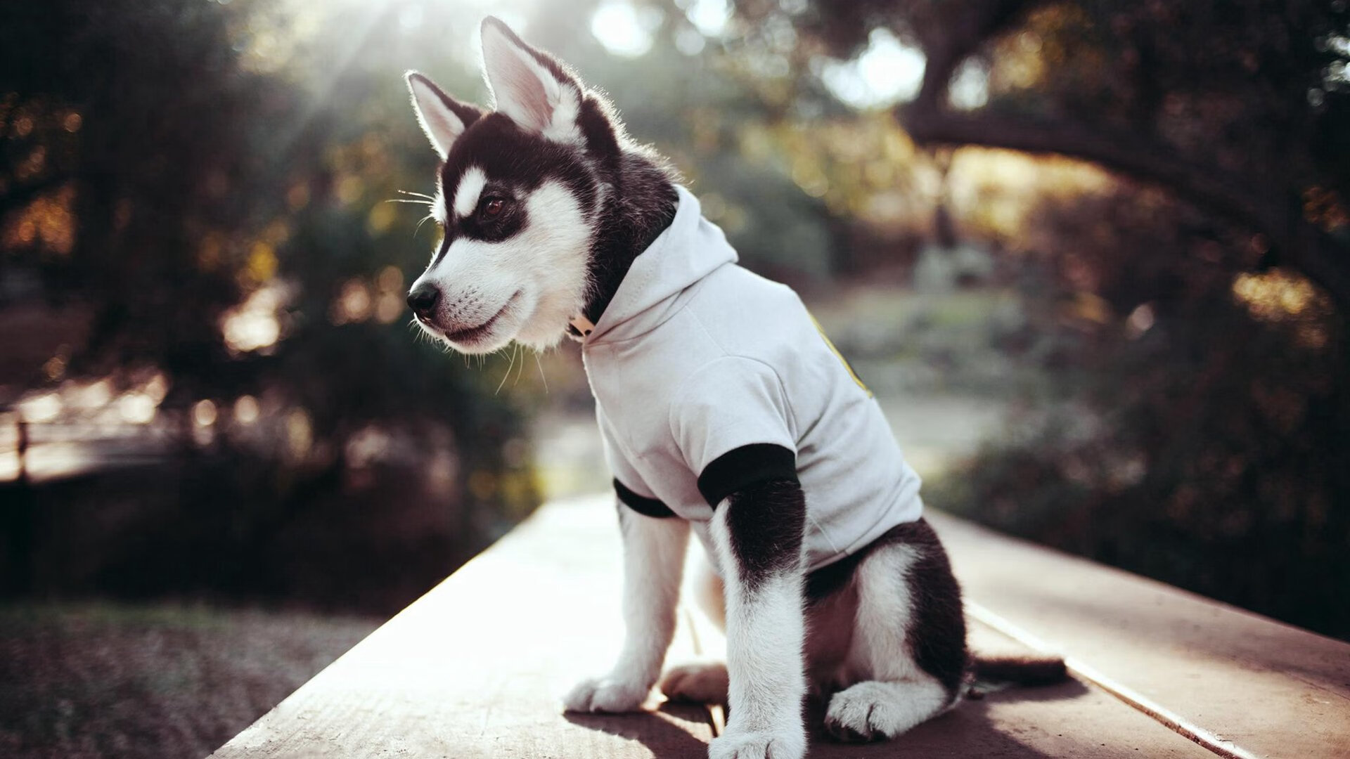 从无名之辈到关键先生，阿尔瓦雷斯一己之力导演墨西哥首次攻陷威斯特法伦