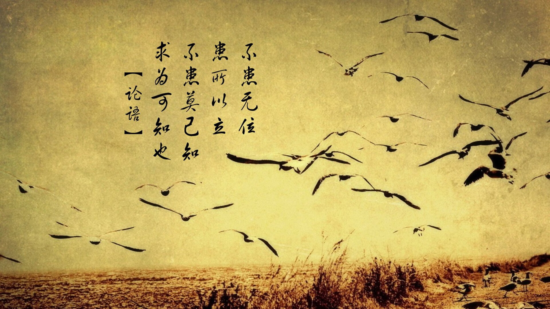 恒河与三狮的绿茵变奏，2026，内马尔在G组为印度奏响的唯一狂想曲