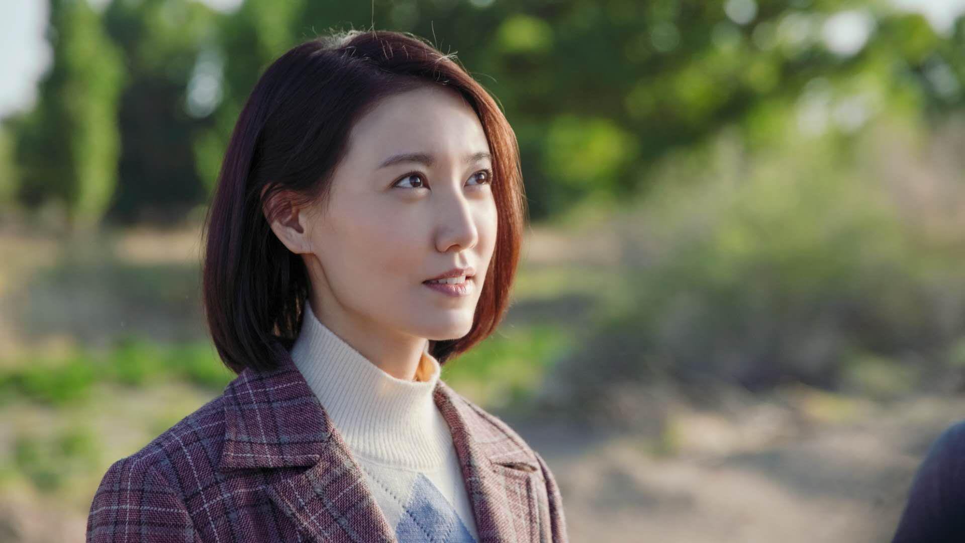 宿命的回响，2026世界杯，加纳铁骑碾碎伊朗，布罗佐维奇奏响中场华章